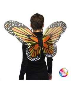 Ailes de papillon adulte